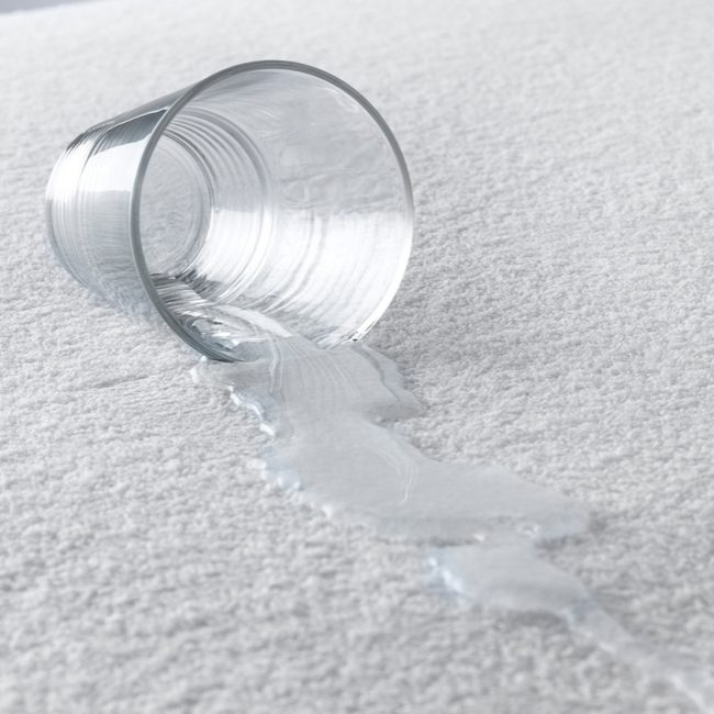 PROTECTOR-TERRY-969x650