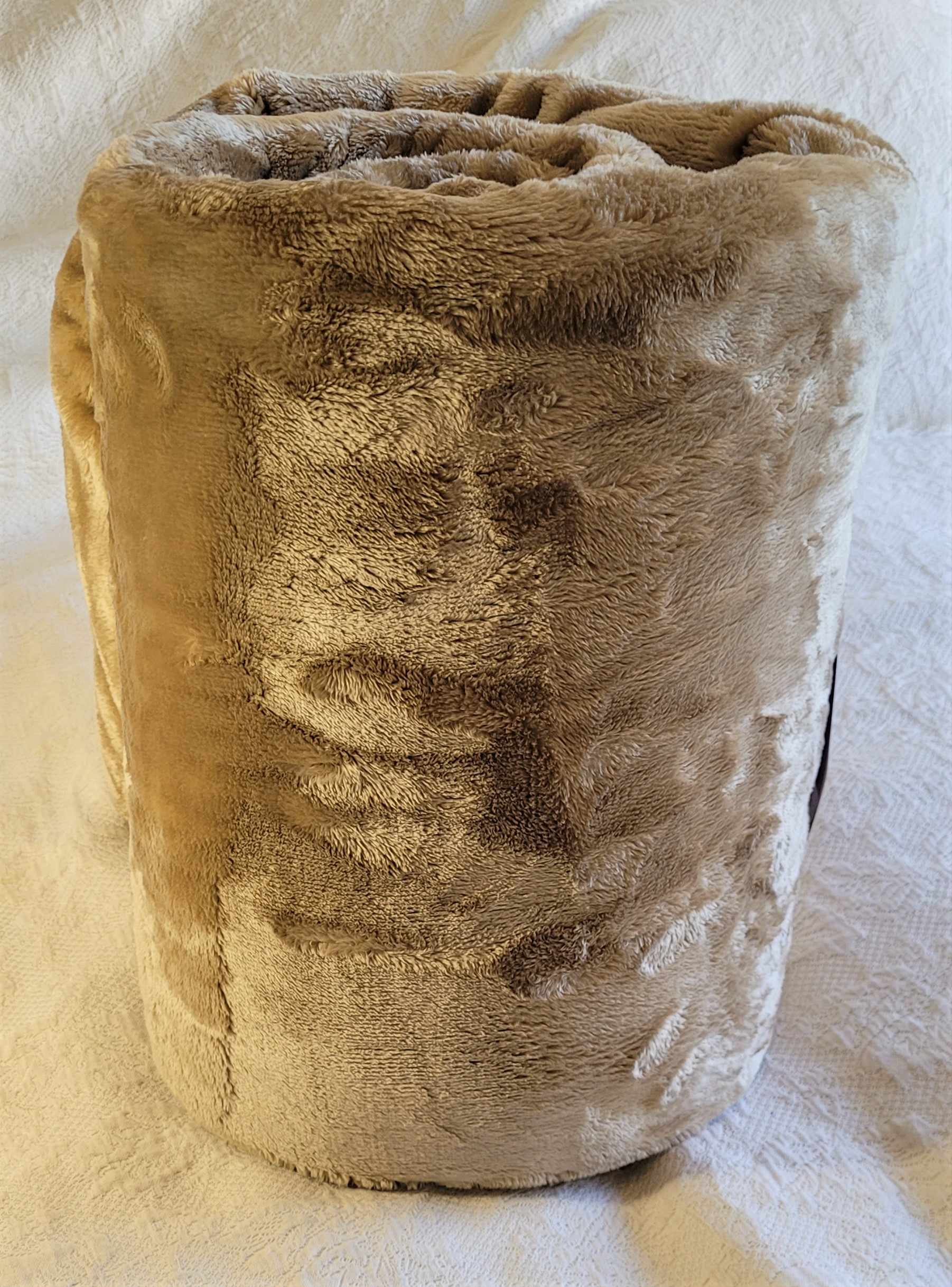 Silk Camel 2