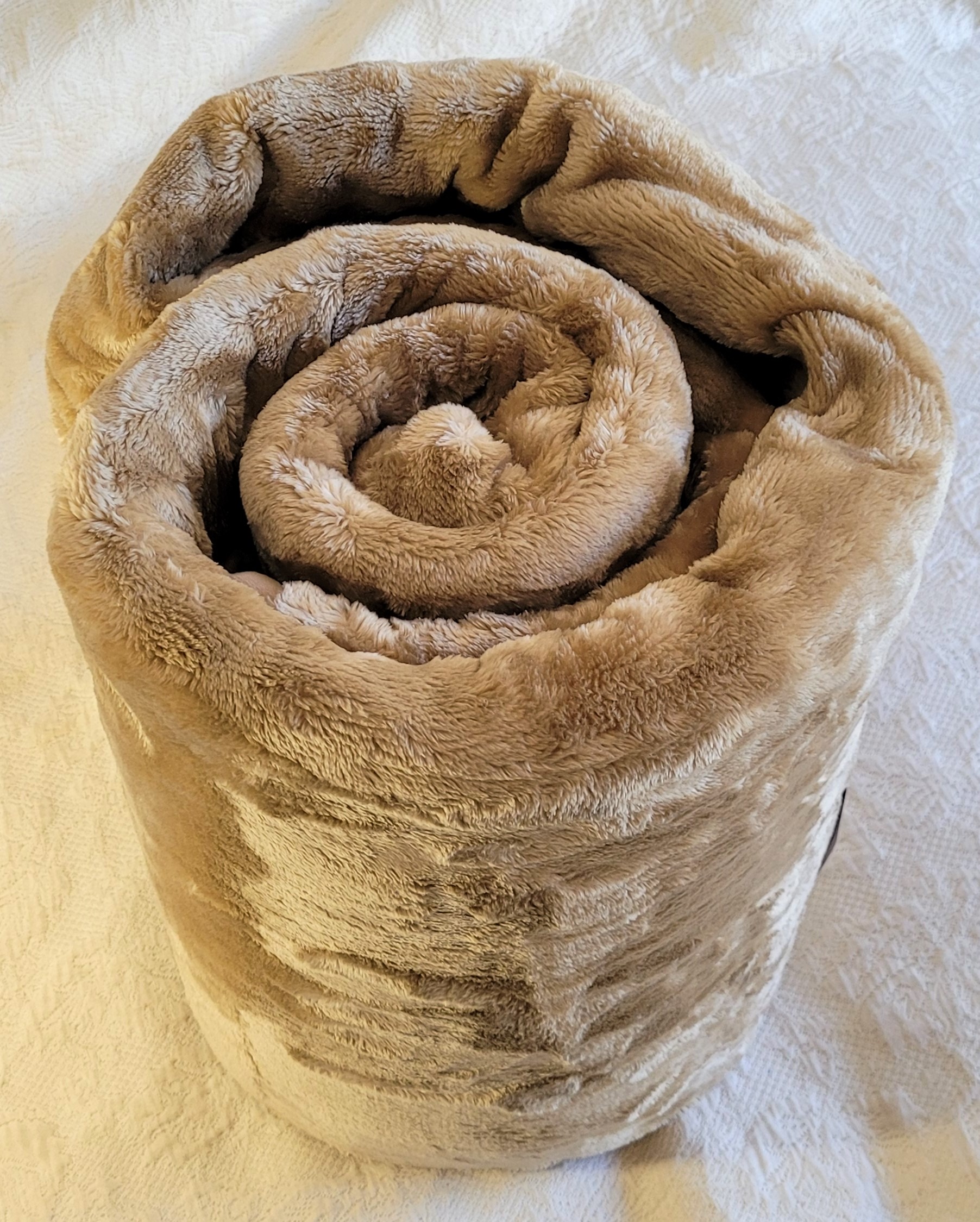 Silk Camel 3